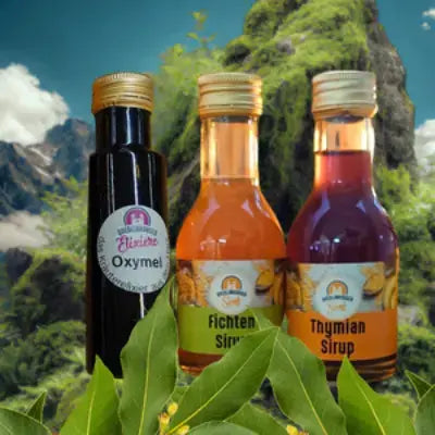 2xSirup & 1xOxymel aus eigener Herstellung: unser Saison - Bundle - senf - shop.com