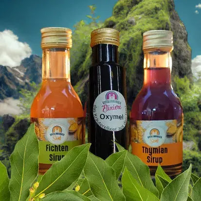 2xSirup & 1xOxymel aus eigener Herstellung: unser Saison - Bundle - senf - shop.com