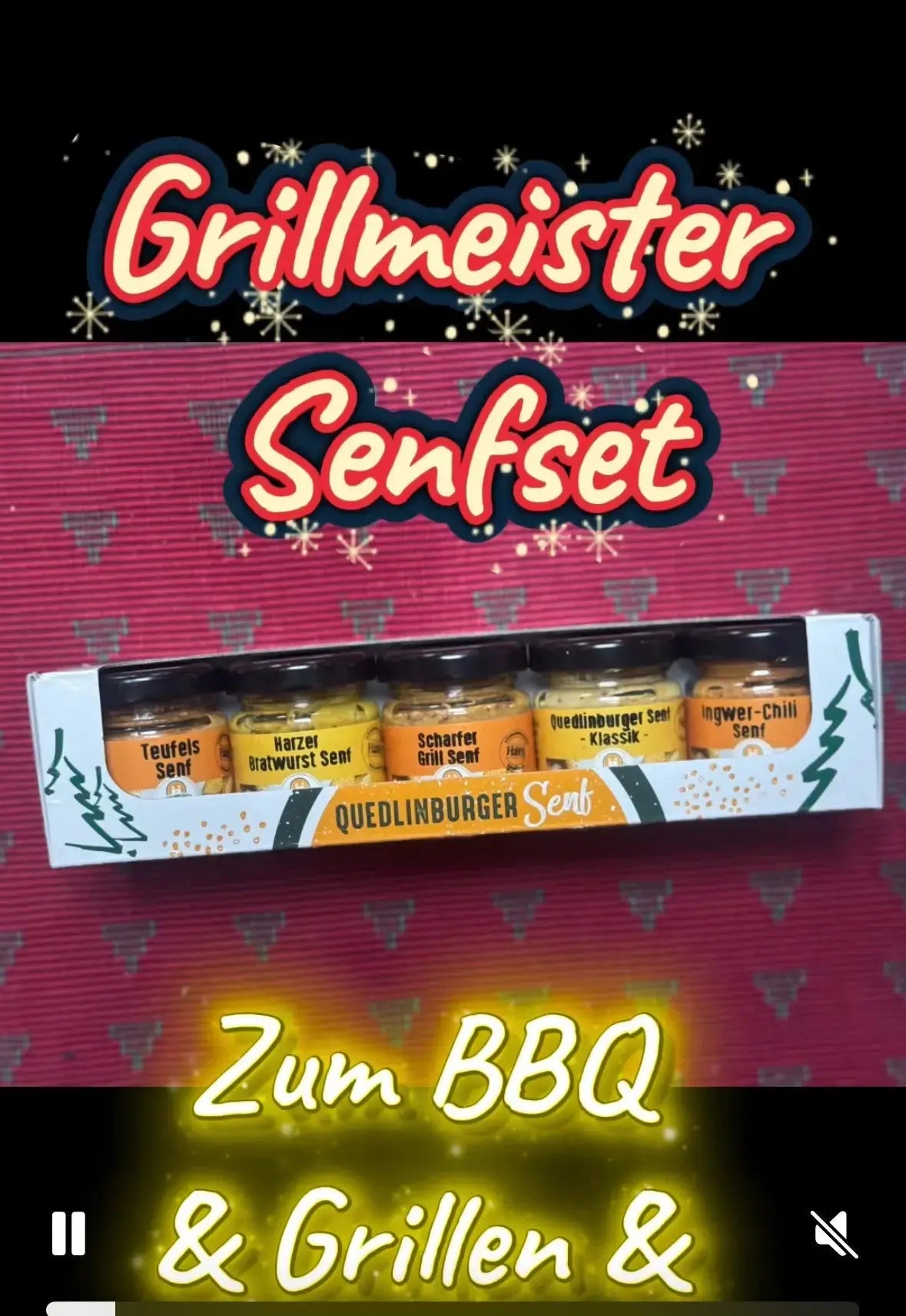 🔥 Grillmeister - Probier - Set – Scharf & Würzig (5 × 45 ml) - senf - shop.com