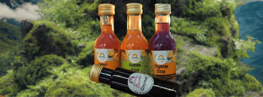 Sirup & Oxymel aus eigener Herstellung - sanfshop.com