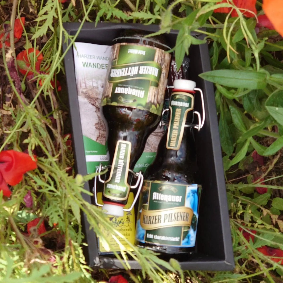 Harzer Wander - Kiste – Genuss &amp; Abenteuer aus dem Harz - senf - shop.com